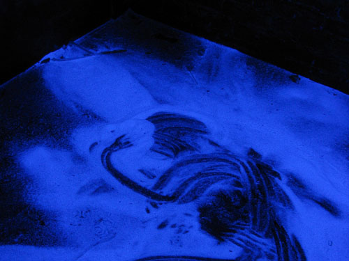 A small dark room with glowing blue powder on the floor.